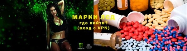 кокс Алексин