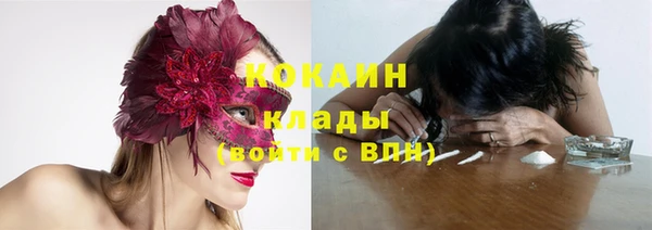 кокс Алексин
