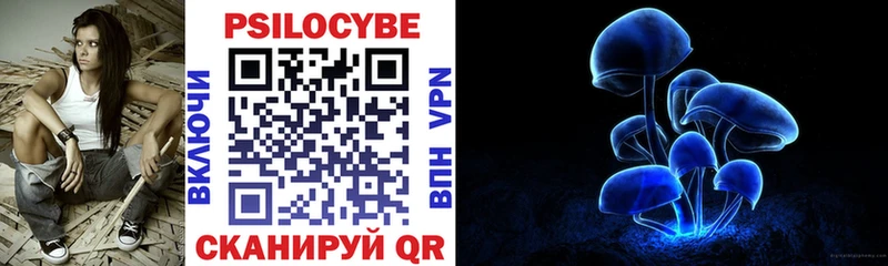 Галлюциногенные грибы Cubensis  купить  сайты  Ессентукская 